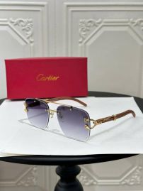Picture of Cartier Sunglasses _SKUfw55763986fw